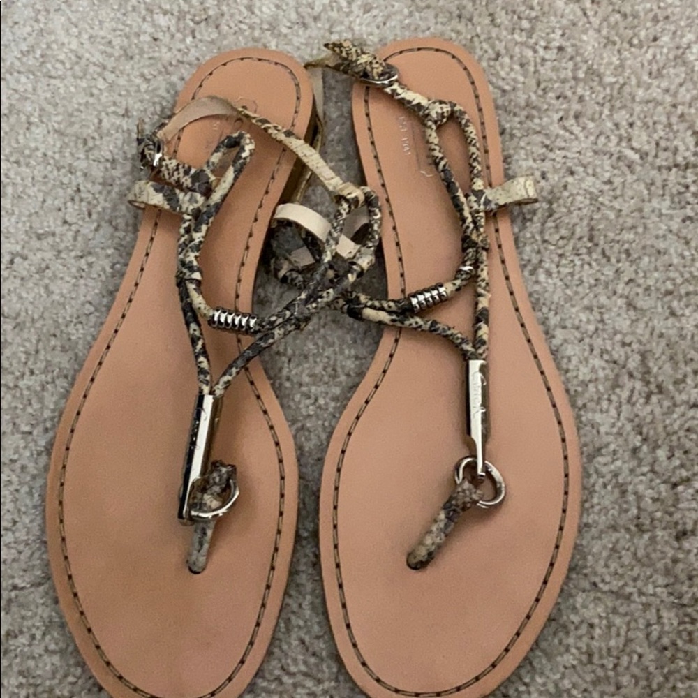Coach Thong Sandal